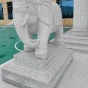 锦州 白麻花岗岩动物异形石雕-大象