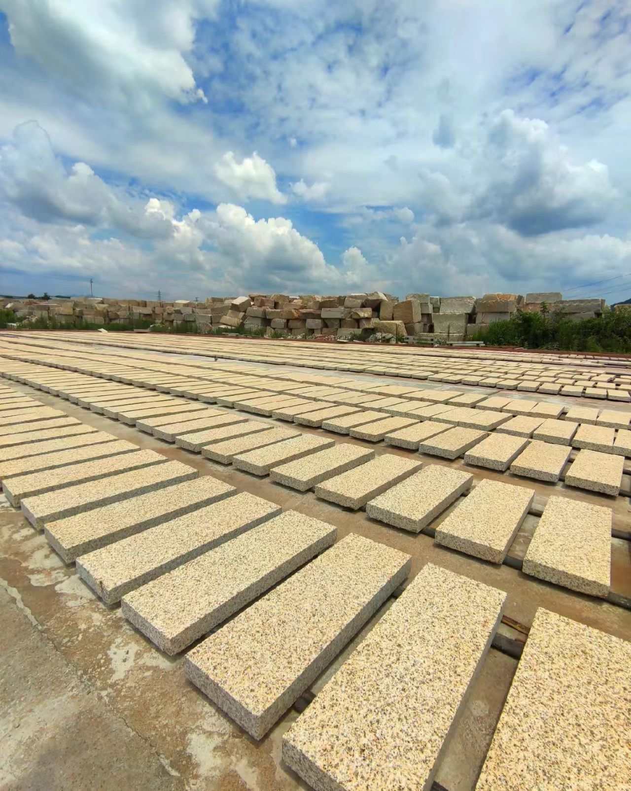 锦州 黄金麻花岗岩荔枝面地铺石防护中